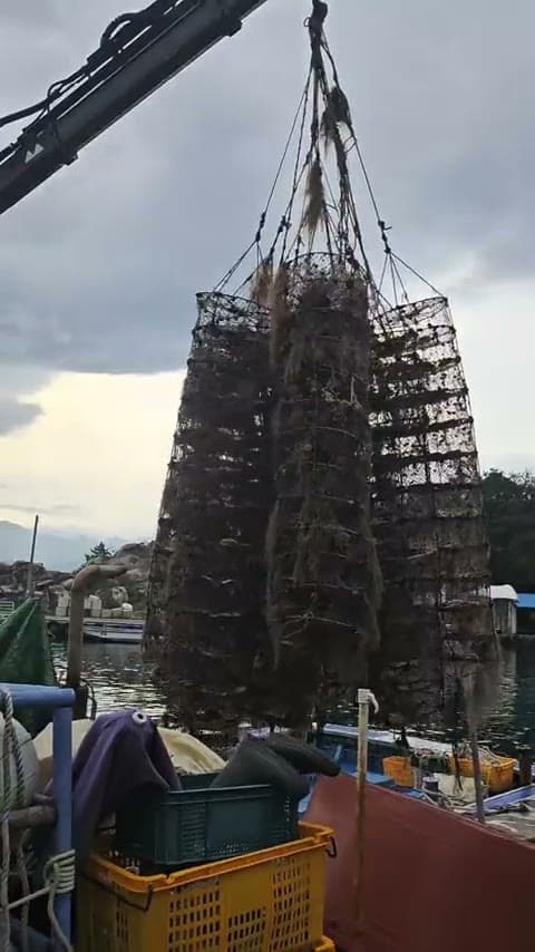 크레인으로 양식줄을 선착장에 올리는 모습