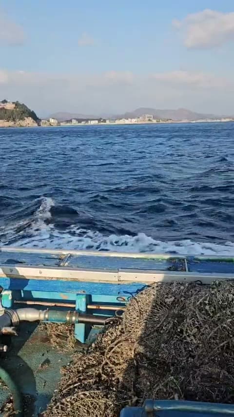 대표가 직접 배를 타고 양식장으로 나가는 모습
